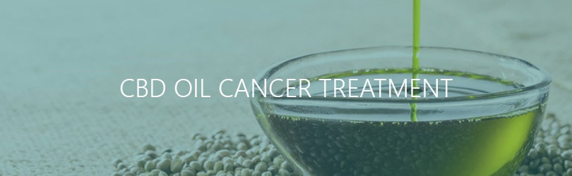 CBD and Cancer Treatment